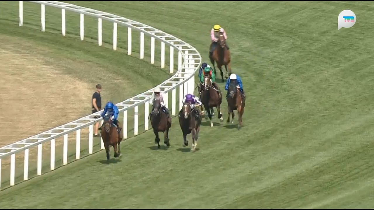 英國雅士谷金盃 Gold Cup 一級賽 G1 3991m 2025-06-19 漁利盡收 Trawlerman 雅士谷馬場 Ascot Racecourse