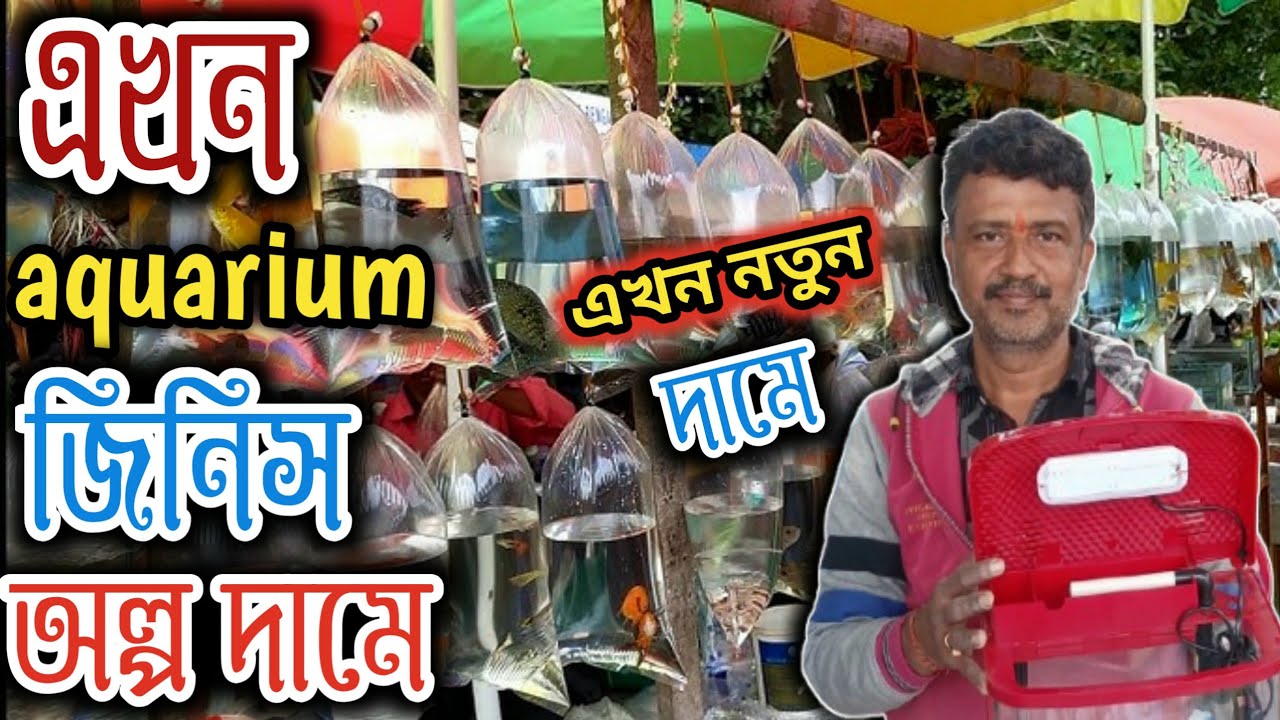এর থেকে কম দামে আর কোথাও পাবেন না শুরু 5 টাকা serampore pet market  serampore aquarium market 