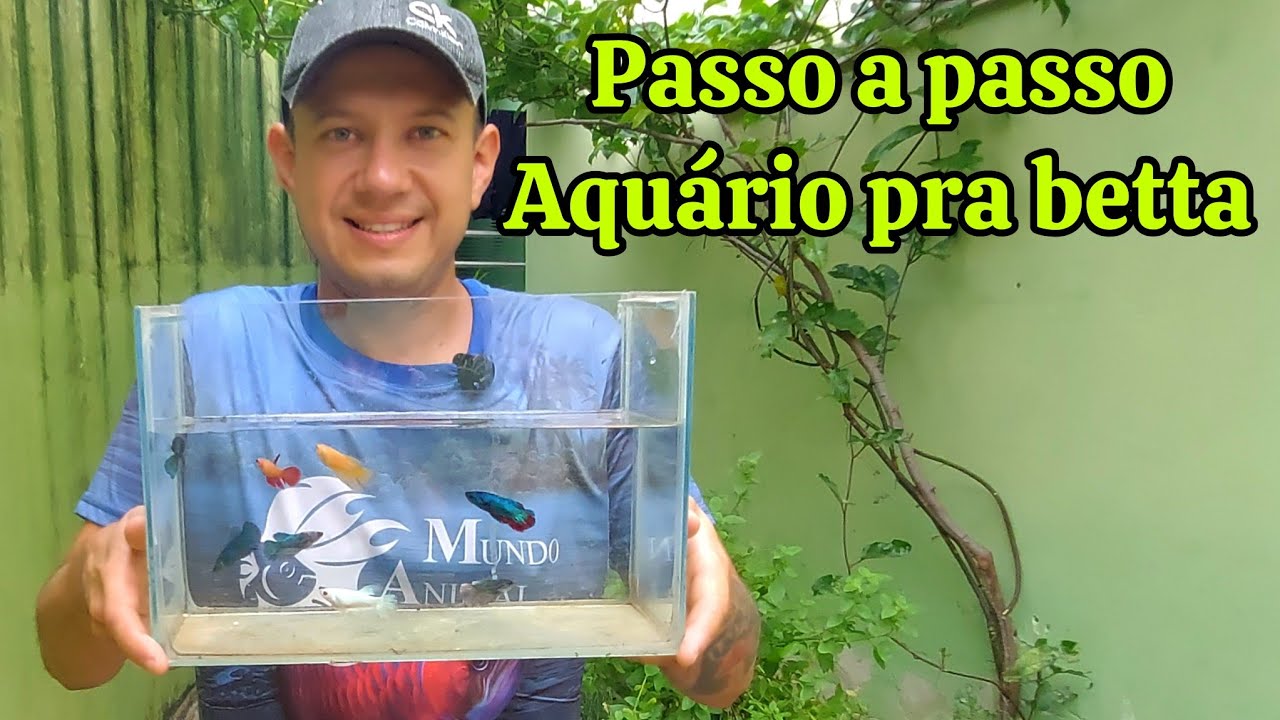 Não deixe seu peixe sofrer mais ,o melhor aquário pra betta.