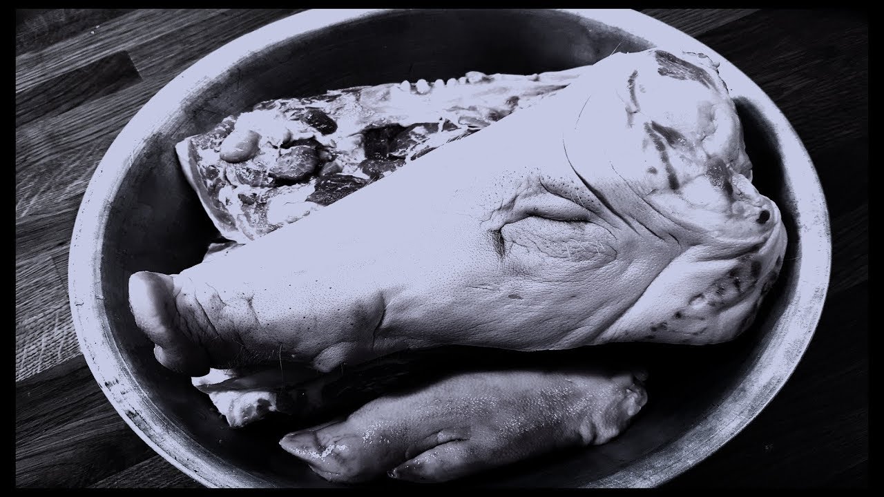 Pig Club Part 3. 