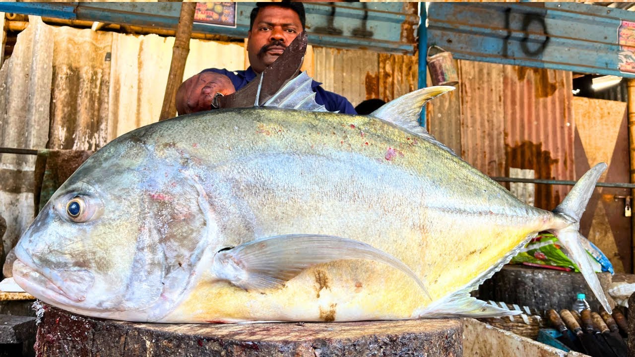 KASIMEDU 🔥 SPEED SELVAM | 30KG BIG GIANT TREVALLY FISH CUTTING VIDEO | FF CUTTING 🔪