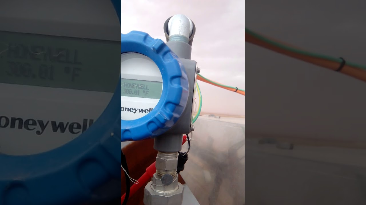 Fieldbus Temperature transmitter