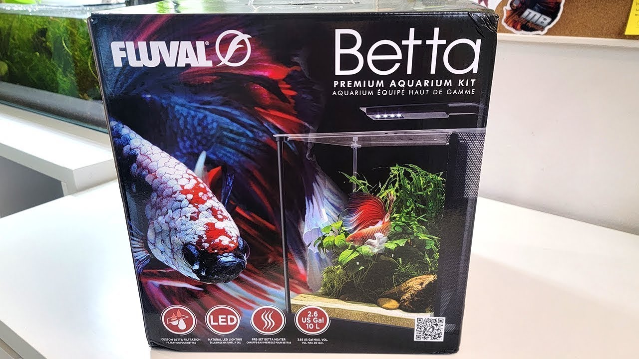 *Новый* аквариум Fluval Betta Tank 2,6 галлона | Идеальный аквариум для бойцовой рыбки?