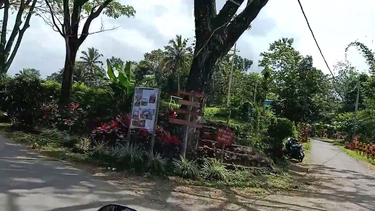 Jalur menuju air terjun jeruk manis desa jeruk manis kecamatan sikur lombok timur