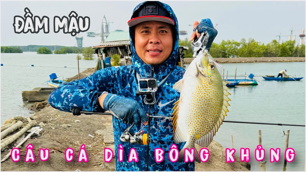 Gặp bầy cá Dìa Bông Khủng Đầm Mậu Phước An Đồng Nai ( 2026 )