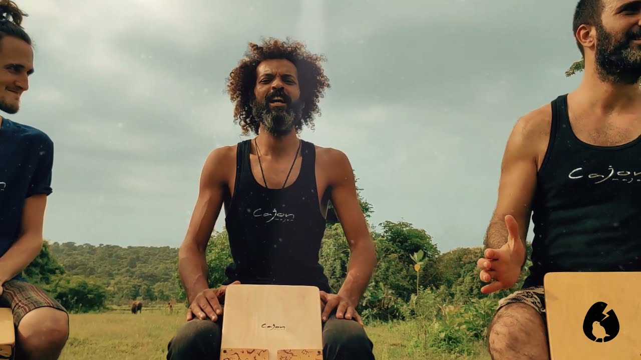 Electric mini cajon with pickup is unique percussion instrument. Travel drum box. Magalenha song