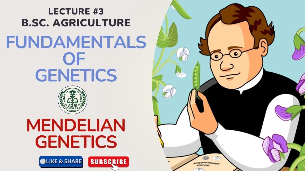 B.Sc. Agriculture | Fundamentals of Genetics – Lecture 3: Mendelian Genetics (Introduction) | ICAR |