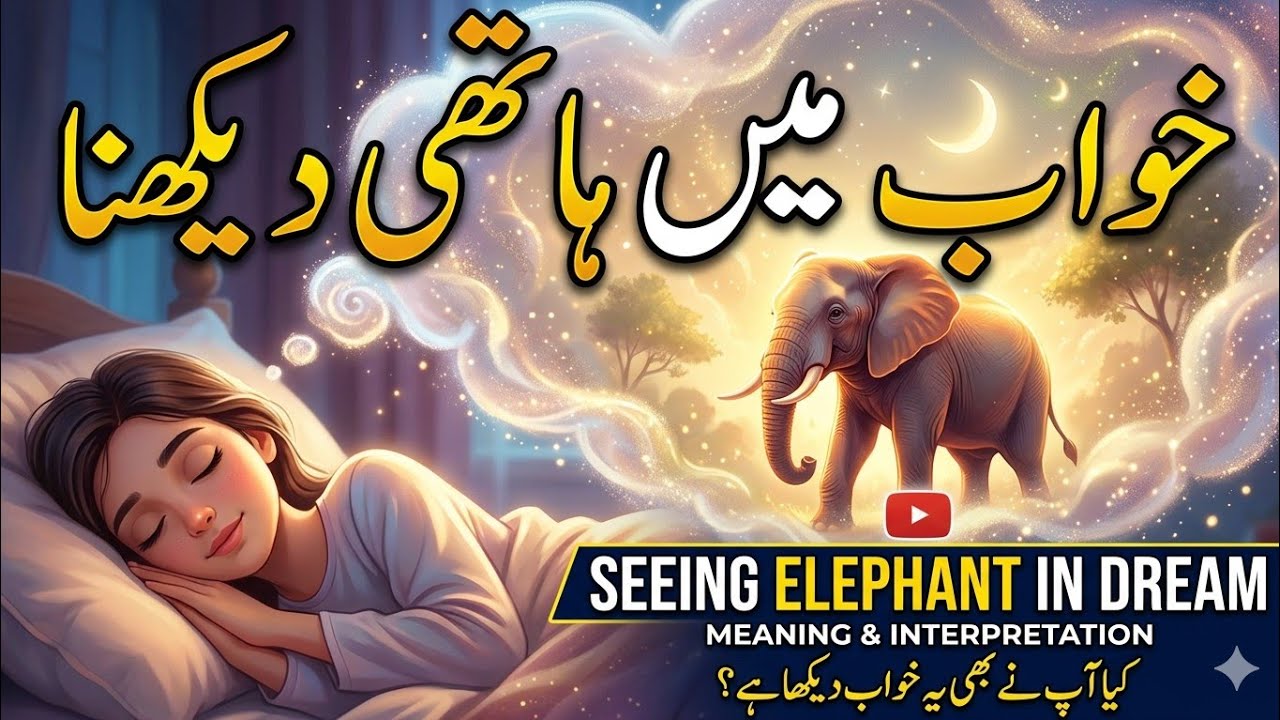Khwab mein hathi dekhna | khawab mein hathi ki sawari kerna | Khwab mein hathi dekhna ki tabeer