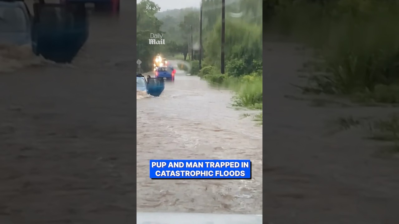 Selfless couple drive through flood to rescue trapped dog and man from sinking car