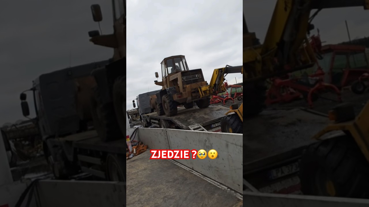ZJEDZIE ?😅😮 #graoplon #shorst #funnymoments #viral