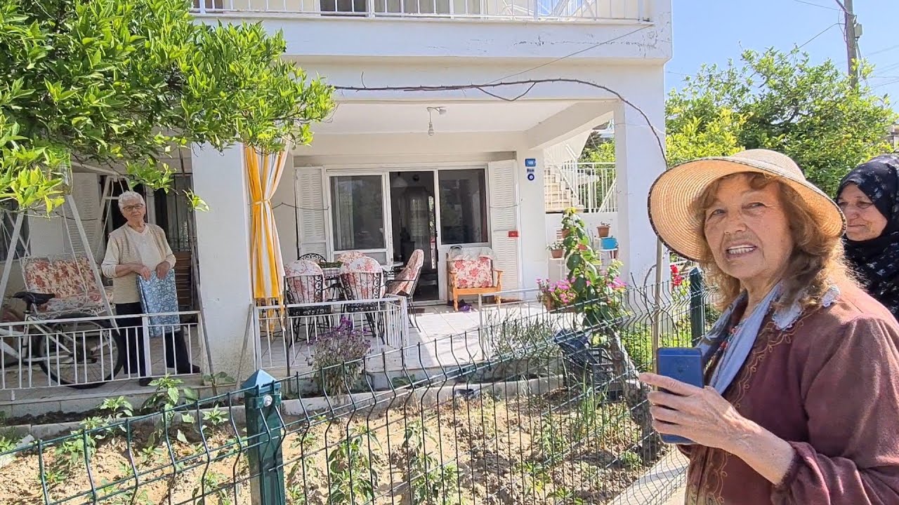 Kuşadası'ndan Renkli Bahçeler, Uzun Boylu, Doğal Ceylangözü Sardunyalar