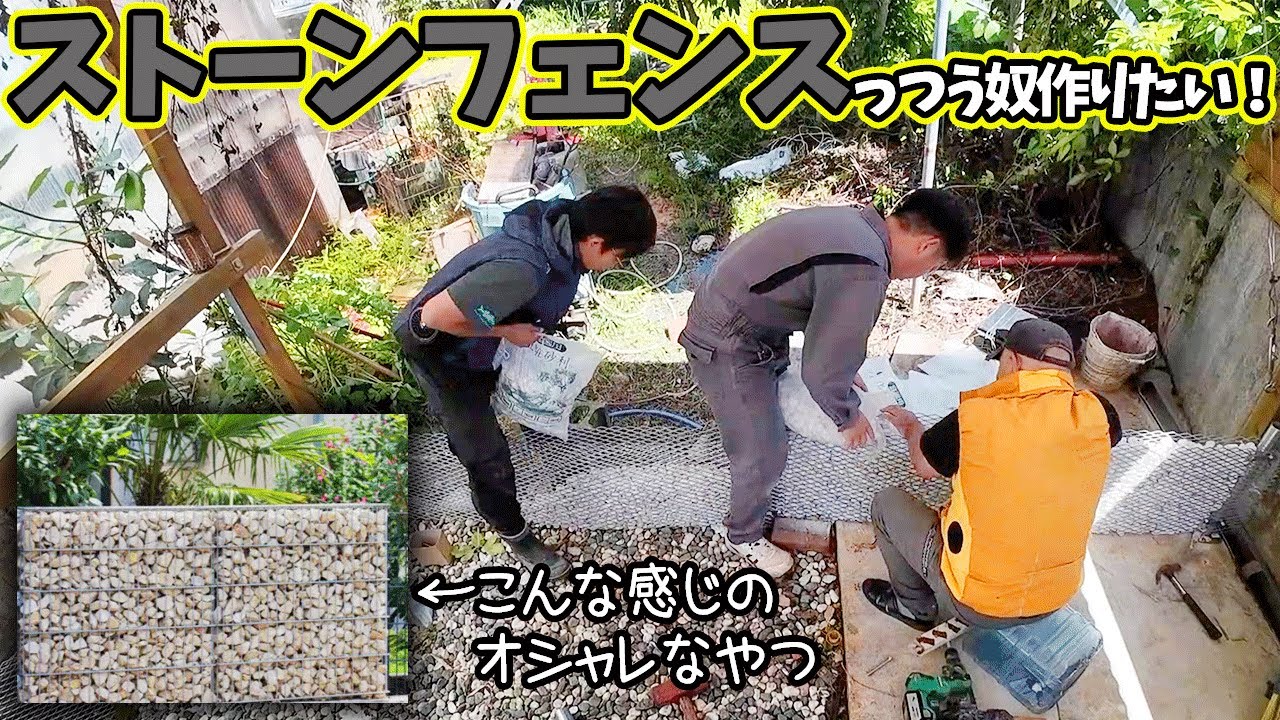 事務所にスッポンがいるので、養殖場を作りたいと思う！【養殖場作り＃２】