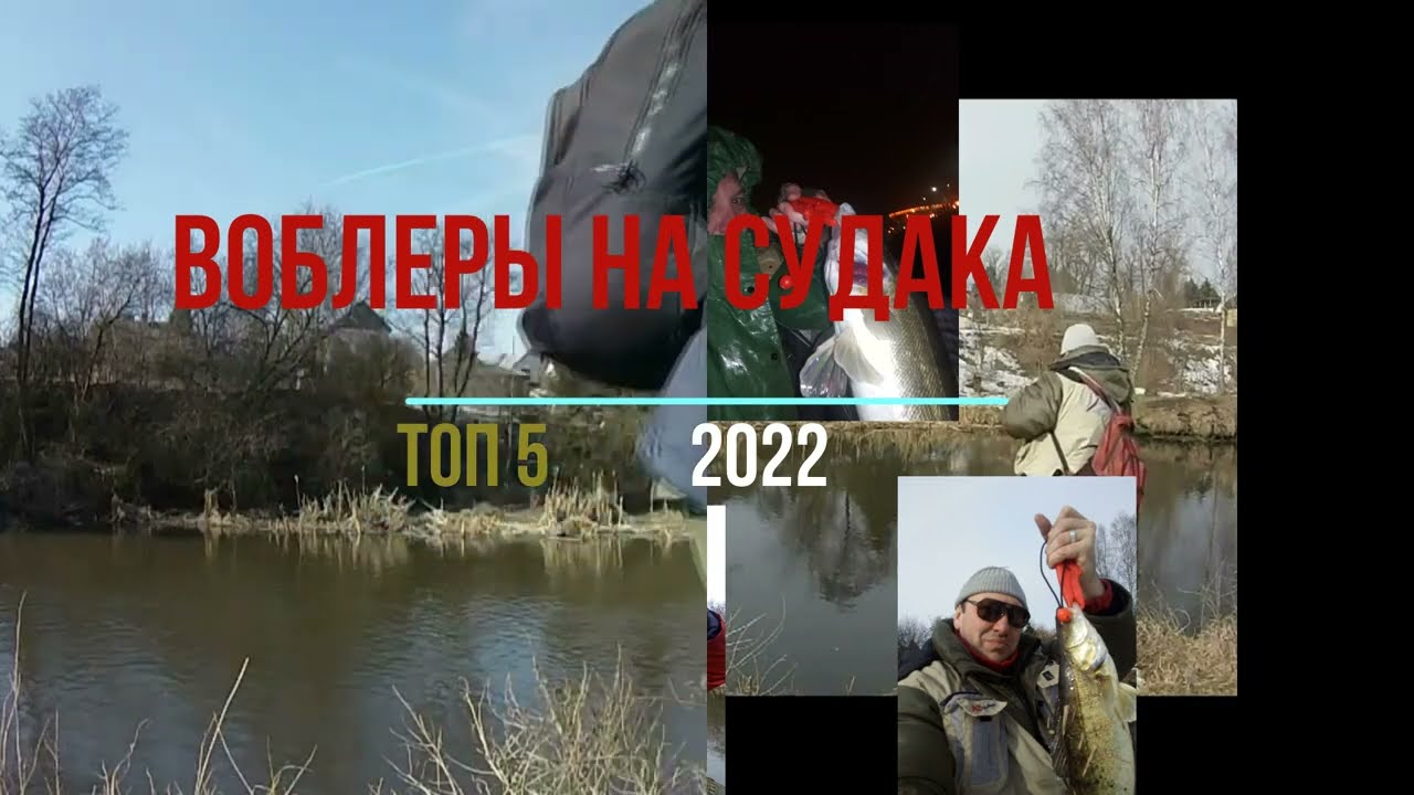 ВОБЛЕРЫ на судака ТОП 5  2022