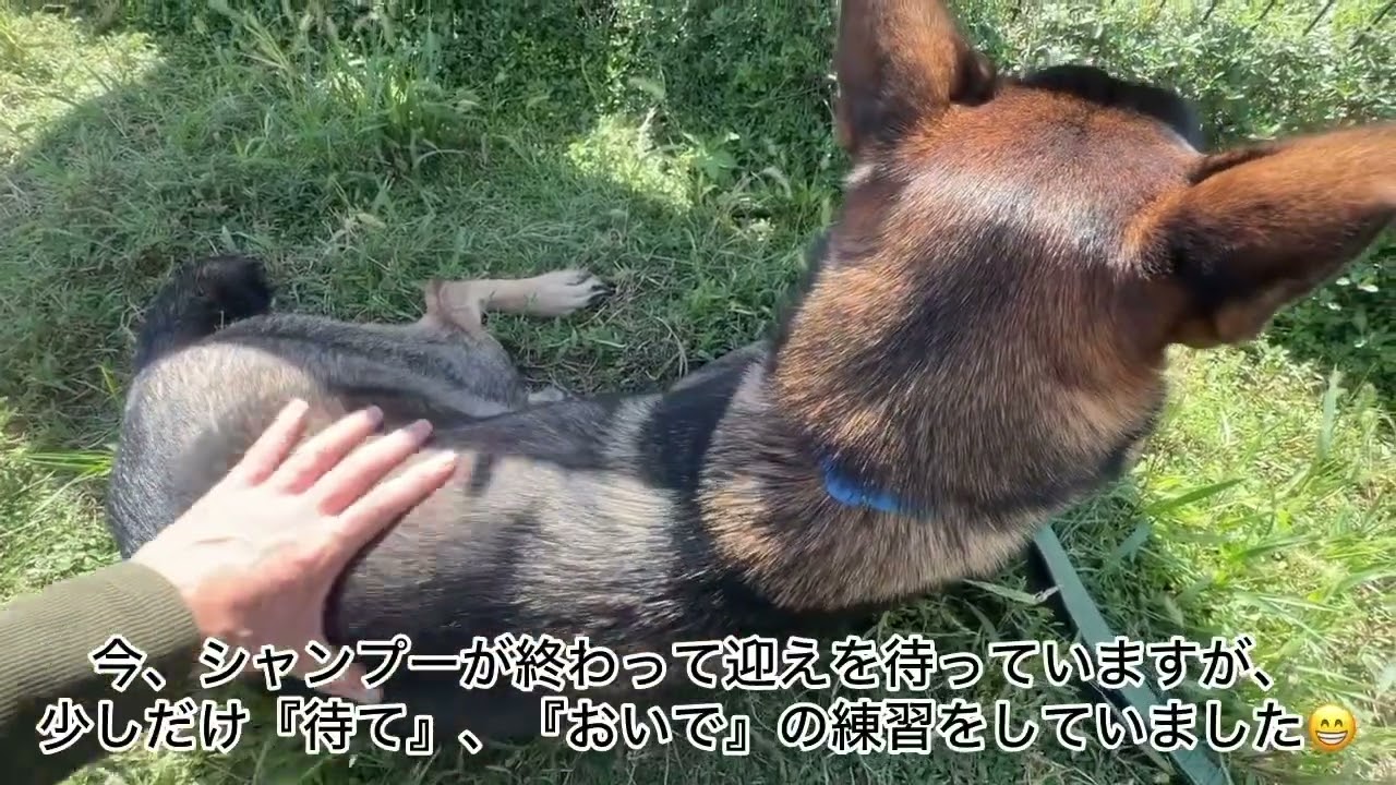 [嘘はやめよう]営業電話はお断り