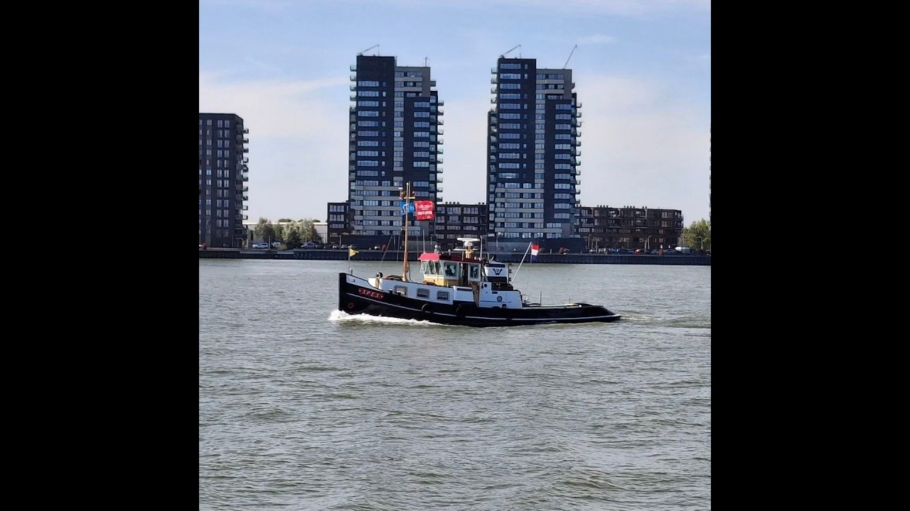 vlog 395   Bootjes kieken