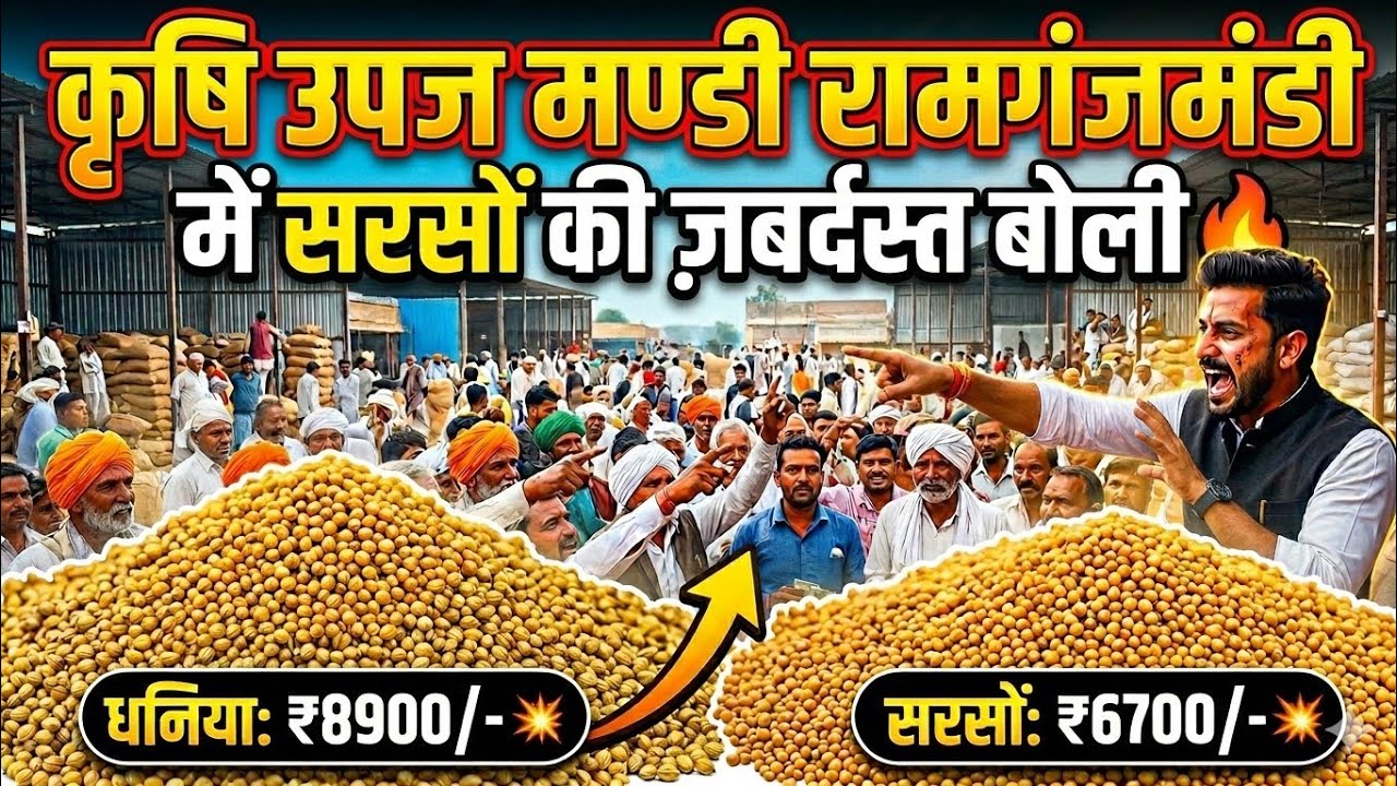 रामगंजमंडी मे सरसों की बोली आपने कभी नहीं देखी होगी || Sarson Auction Live Ramganjmandi !!