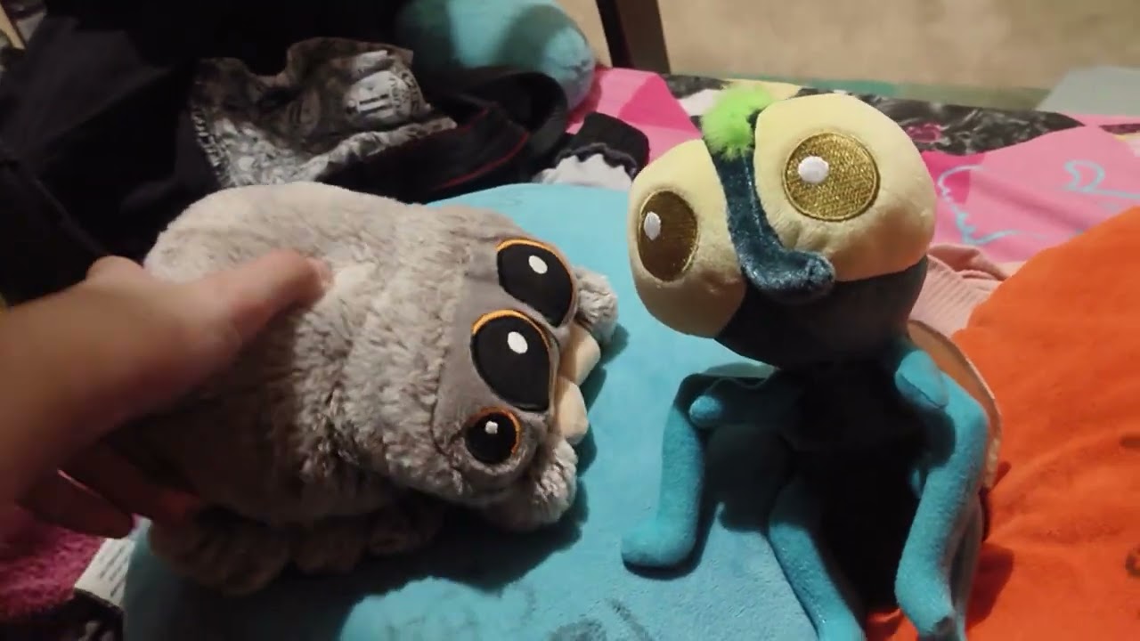 lucas the spider - new friend - short moment !