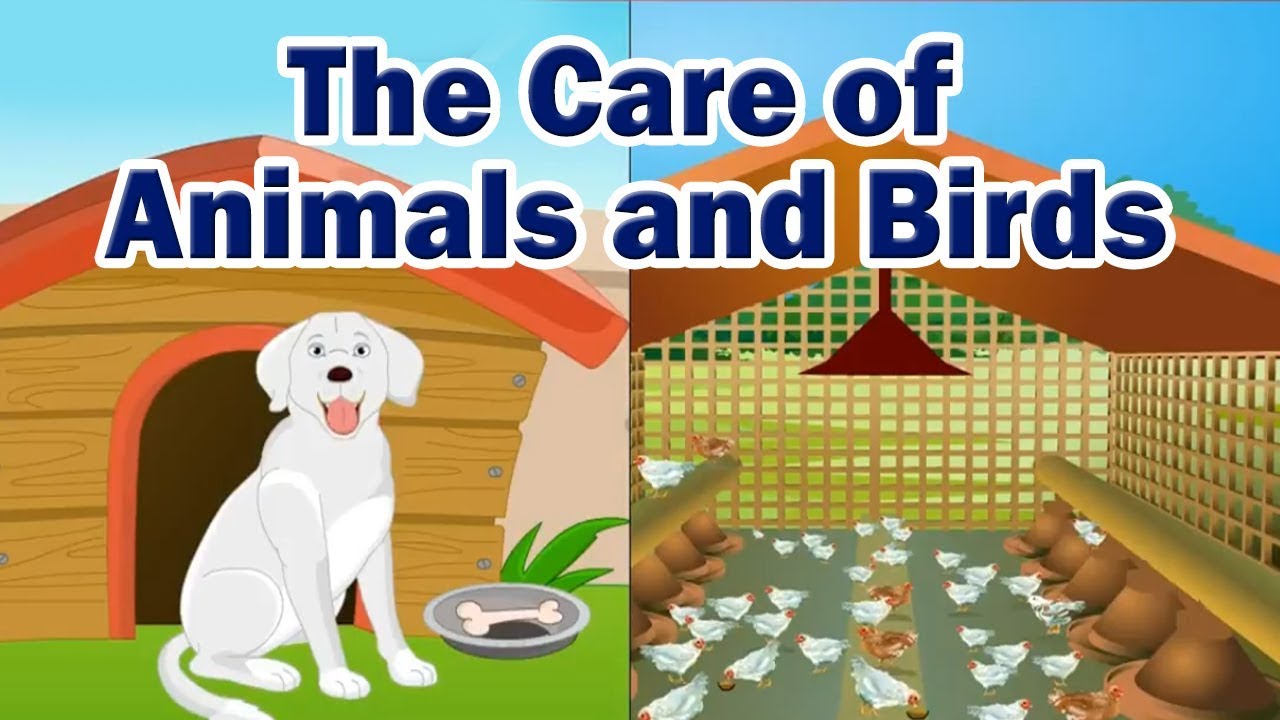The Care of Animals and Birds (Unit 3) | 2nd Std | EVS | English Medium | SSC Board | Home Revise