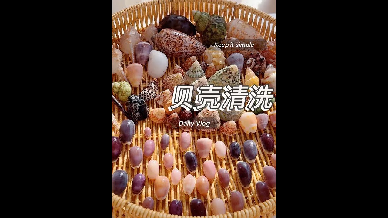 贝壳清洗 | 涠洲岛 今日份草酸兑水1:1，通风处操作，草酸不可接触皮肤，请做好防护，贝壳清洗的要点可要记好了，别把贝壳洗坏了#清洗#解压#极度舒适#推荐 #治愈