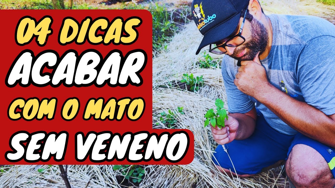 ✅ ( COMPROVADO) COMO ACABAR com o  MATO SEM VENENO