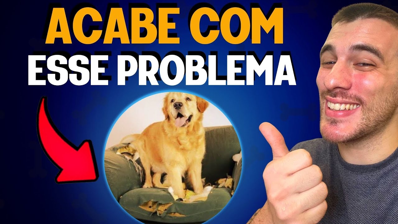 Como Ensinar O Cachorro A Parar De Subir No Sof&aacute; (SIMPLES E F&Aacute;CIL)