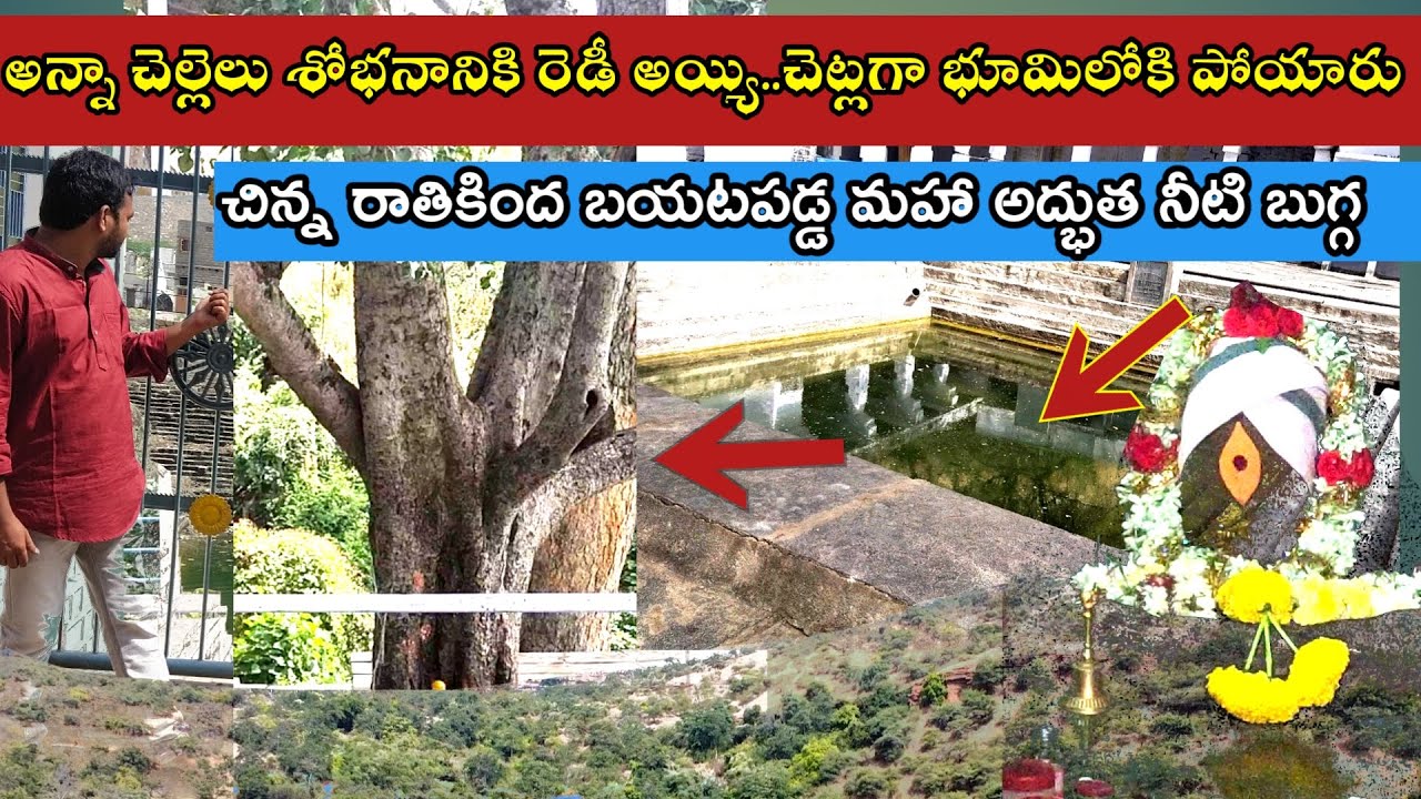 అన్నా చెల్లెలు శోభనానికి రెడీ అయ్యారు.. చెట్లగా భూమిలోకి పోయారు - Bhanukota Shivalayam