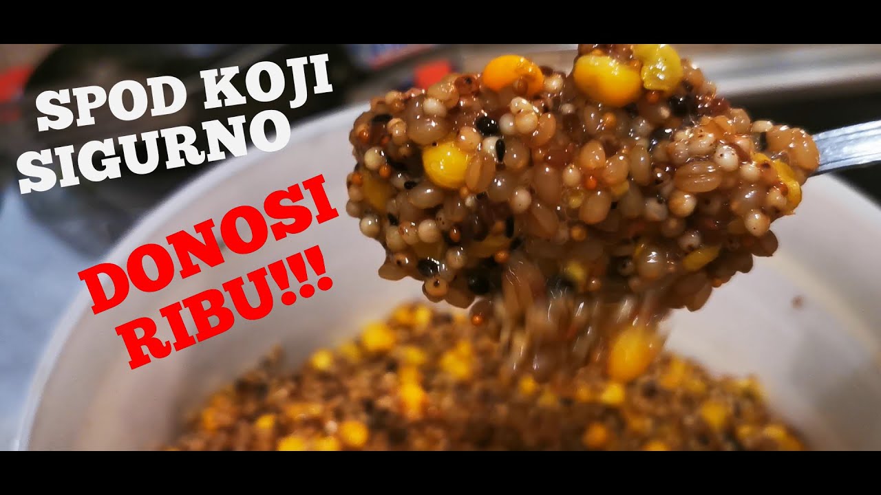 DA UPECAŠ VIŠE - SPOD KOJI DONOSI RIBU