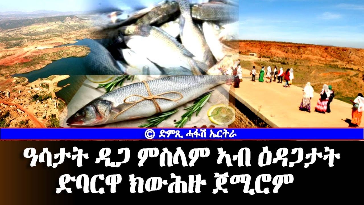ዓሳታት ዲጋ ምስላም - ኣብ ዕዳጋታት ድባርዋ ክውሕዙ ጀሚሮም - Hafash Eritrea/ድምጺ ሓፋሽ ኤርትራ
