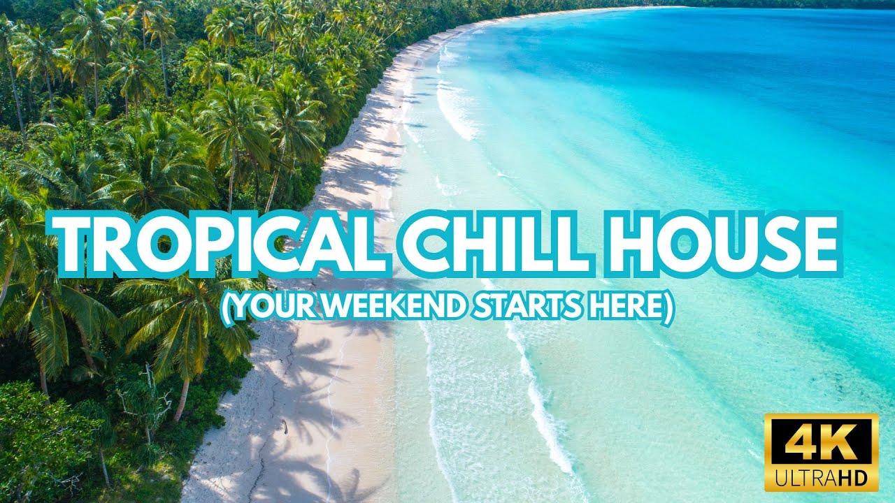 🌊 Tropical Chill House | 🔴 NO ADS | Cozy Sunday Vibes | Relaxing Loop | 24/7