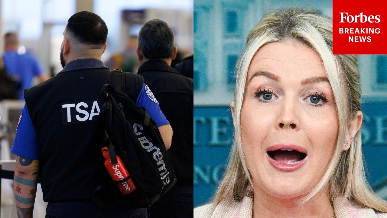 Leavitt Sends Message To Those Impacted By DHS Shutdown: 'Call Your Democrat Member Of Congress'