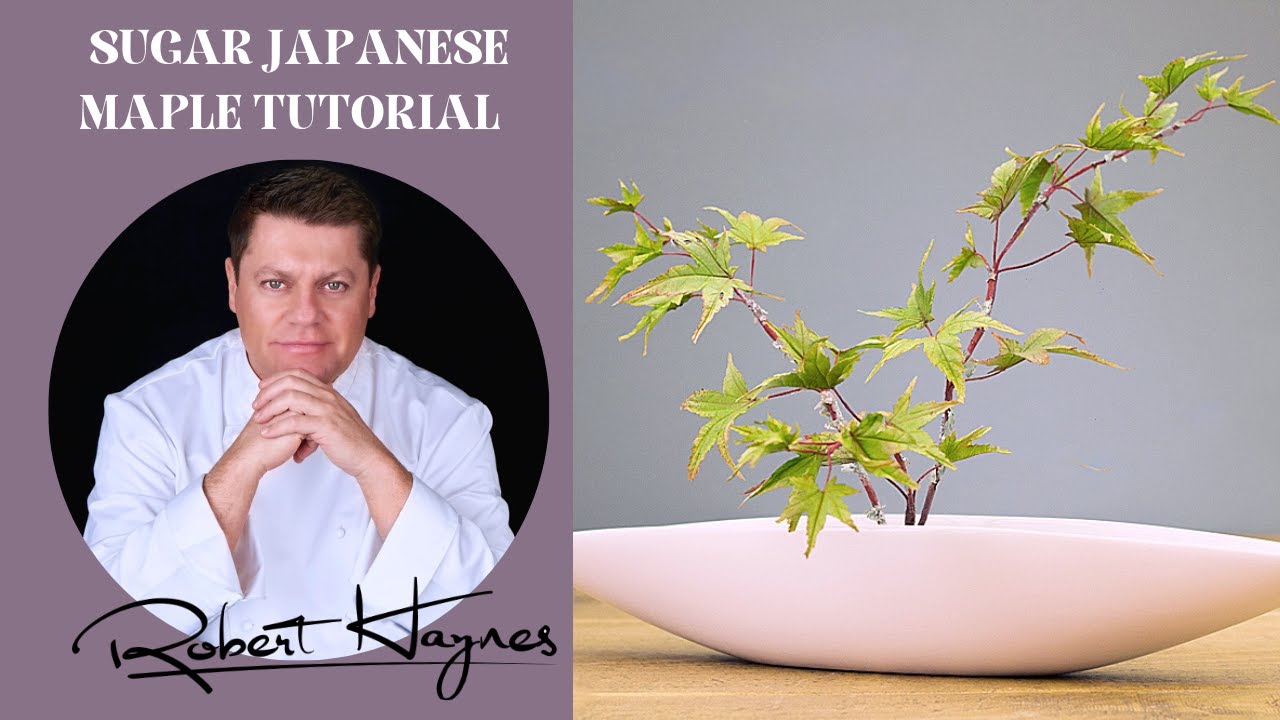How to make a Sugar Japenese Maple by Robert Haynes - Tutorial filmed for Cakeflix Sugarcraft School