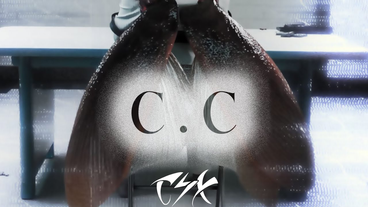 PAUSE - C.C (Official Beat, Prod by TEASLAX)