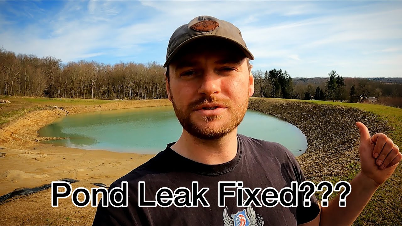 Polymer Pond Sealer - 1 Month Later