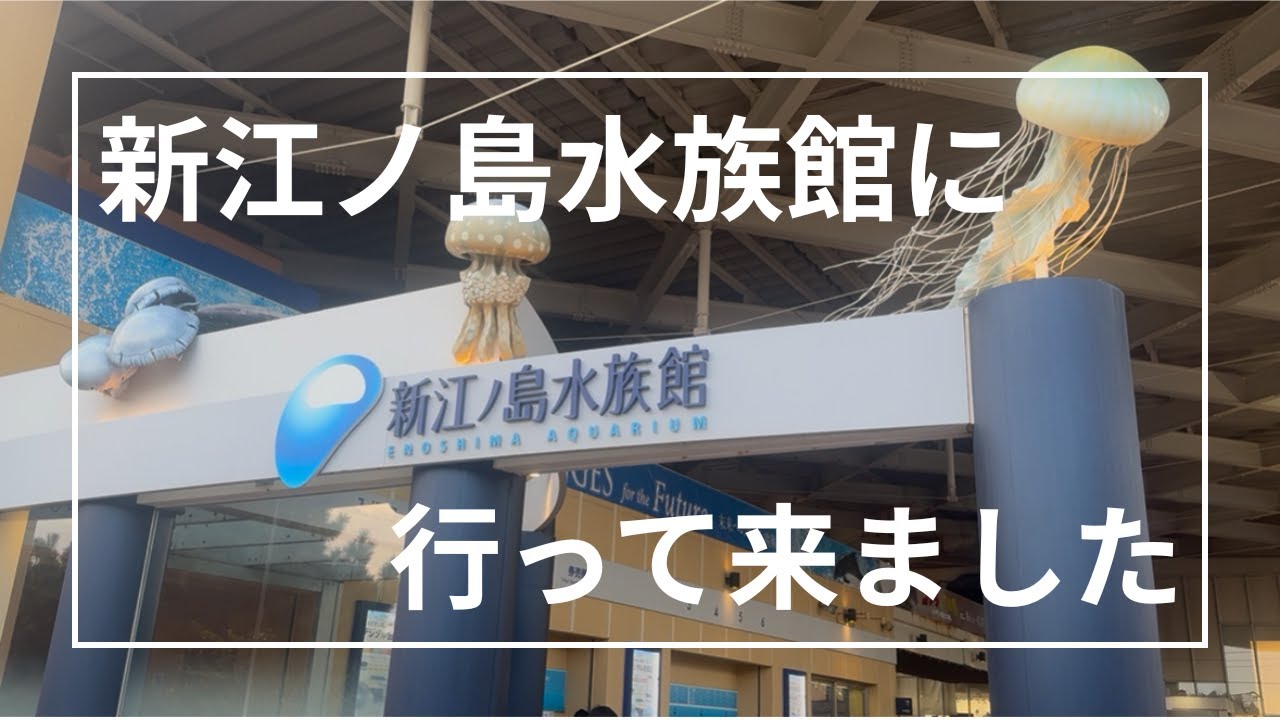 「えのすい」に行ってきた！「優雅に泳ぐ魚たち」「ペンギン＆アザラシの癒し」「圧巻のイルカショー」新江ノ島水族館を余すことなく満喫してきました♪　#新江ノ島水族館 #湘南 #水族館 #イルカショー
