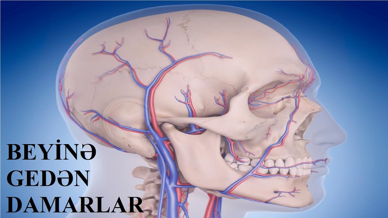 Easy Cerebrovascular Check-up