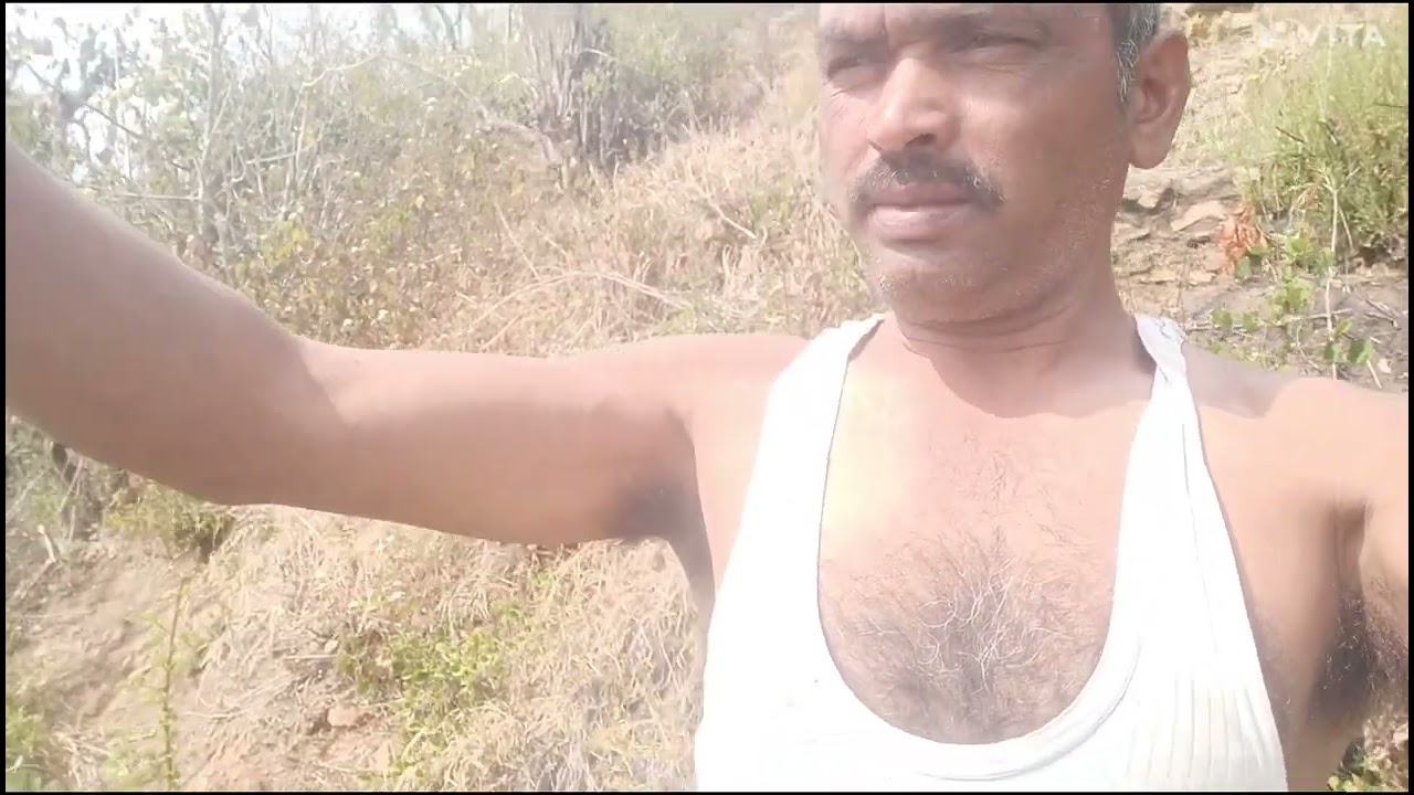 कीबी के पौधों में पानी डाला और कुछ पेड़ भी लगाए 