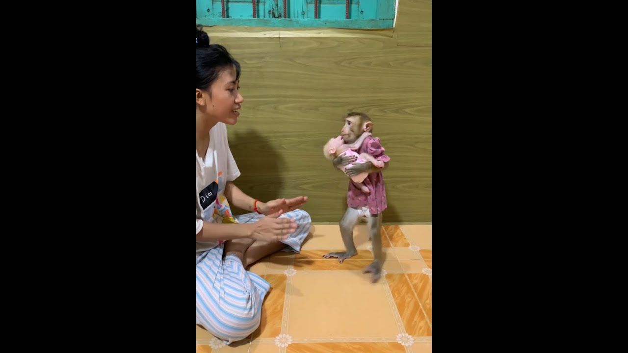 Big Sister Monkey Carrying Baby 🐒💖 | Cutest Family Walking Moment