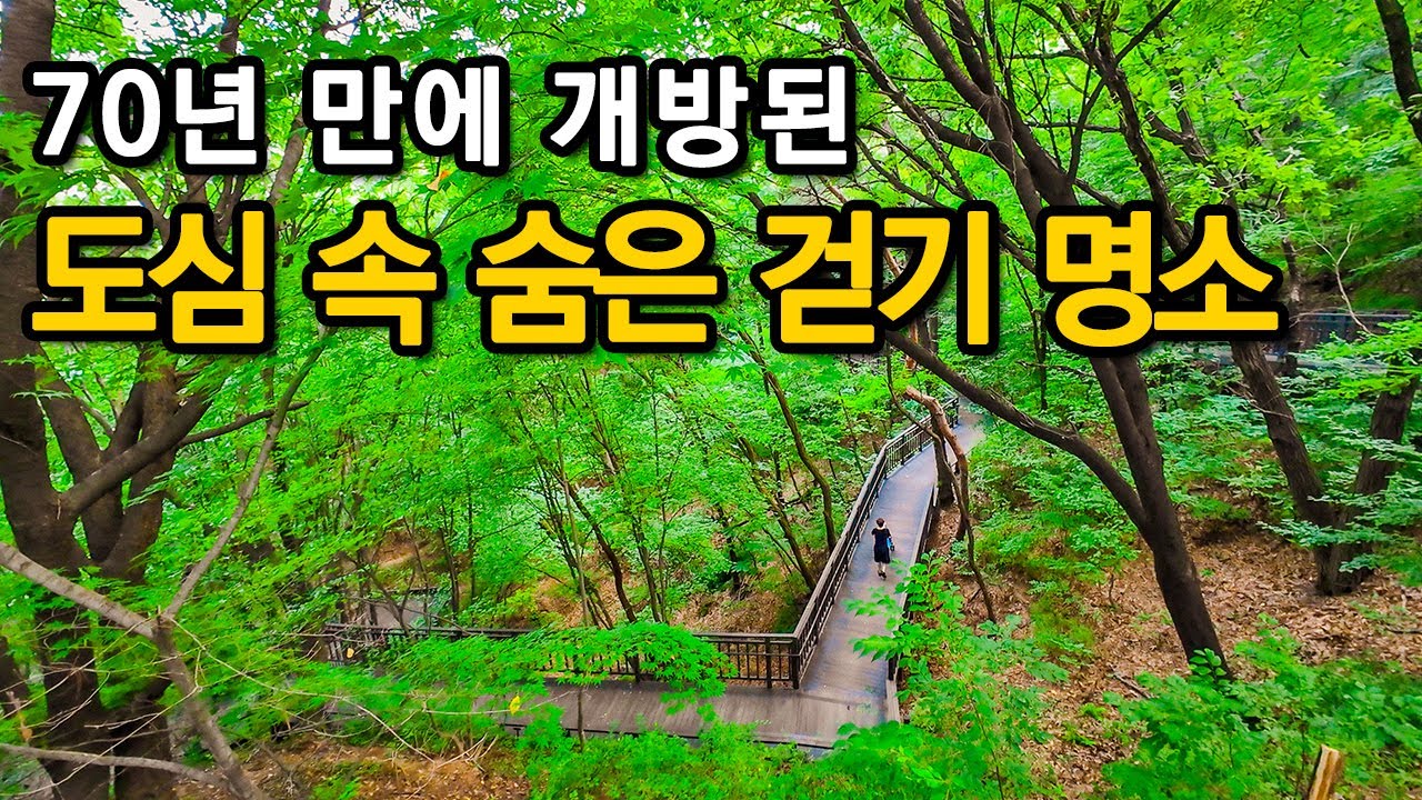 70년 만에 개방!! 계단 없이 정상까지 편하게 갈 수 있는 서울 숨은 걷기 명소ㅣ대중교통 당일치기 여행ㅣ지하철 여행ㅣ트레킹 코스ㅣ서울산책