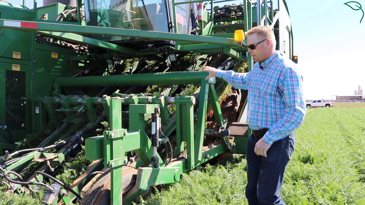 How a Carrot Harvester Works
