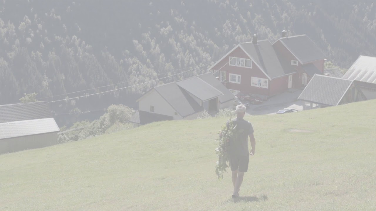 Skjøtsel av slåttemark og lauving i Myrkdalen sommeren 2018