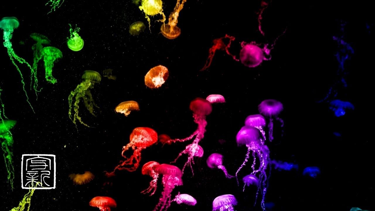 Мирная🌏Медитация🙏Музыка с Таинственной неоновой🌈цветной Медузой принесет умиротворение🌏 в ваш разум.