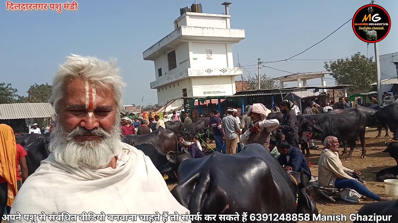 Manish Ghazipur  is live!
