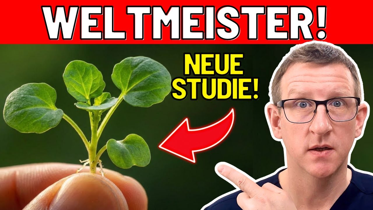 Die TOP 3 gesündesten Lebensmittel der Welt - NEUE Studie!