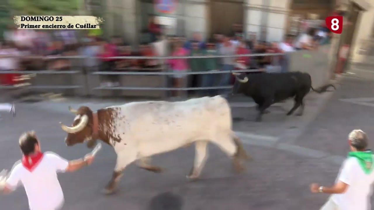 Primer encierro de Cuéllar 2024. Domingo 25-08-24
