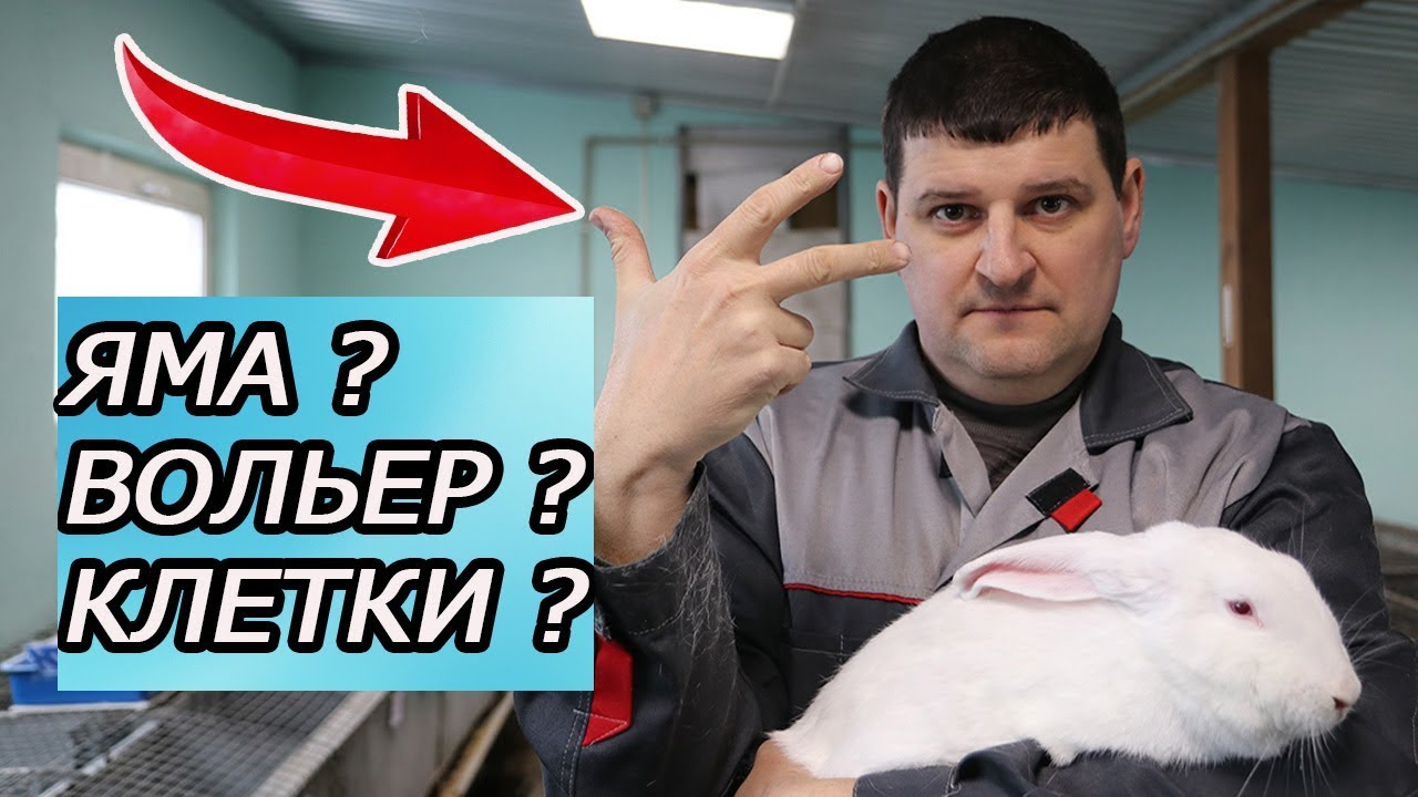 КАК СОДЕРЖАТЬ КРОЛИКОВ? 3 МЕТОДА НА ВЫБОР!!