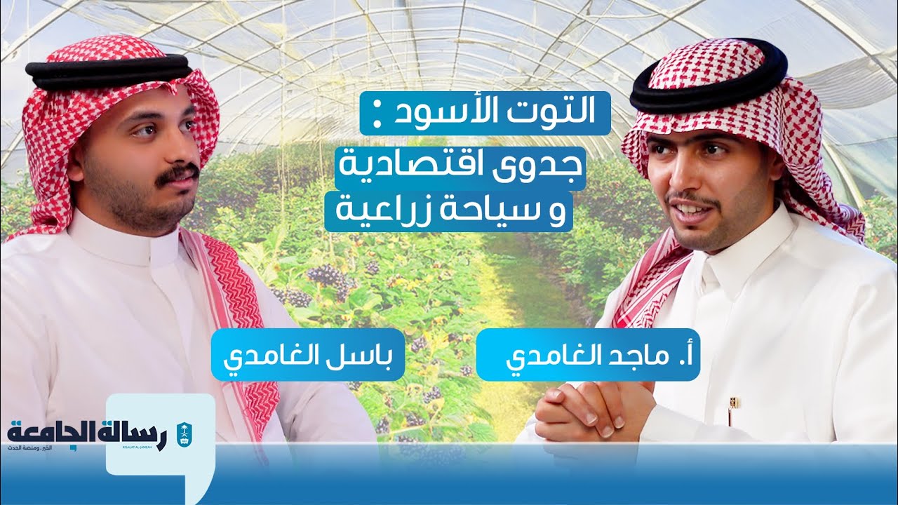 أول أطروحة عن زراعة التوت الأسود في المملكة | أ.ماجد الغامدي