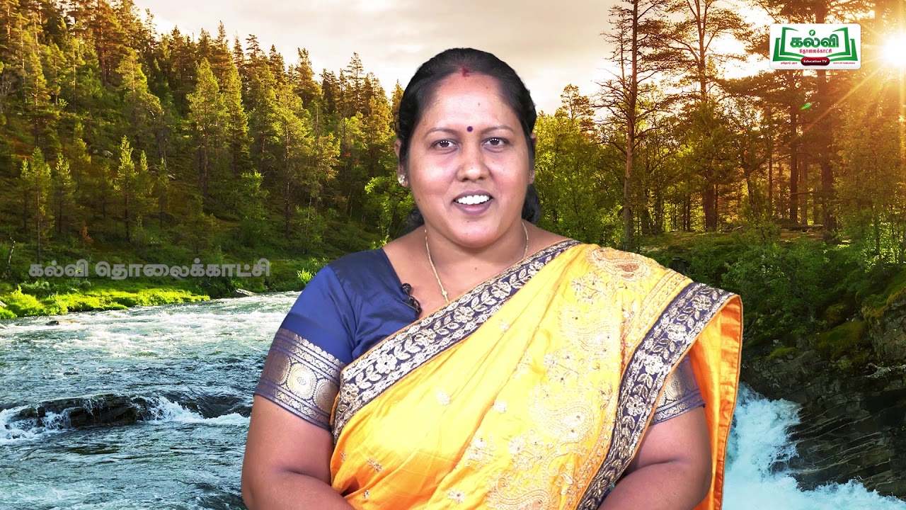 Class 9 | English | Poem |  The River  | Unit 5 | Kalvi TV