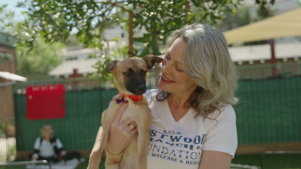 Rescue, Foster, Adopt, Repeat: The Mission of Eastwood Ranch Foundation
