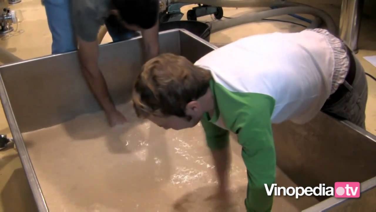 Capítulo 8. Elaboración de un vino blanco