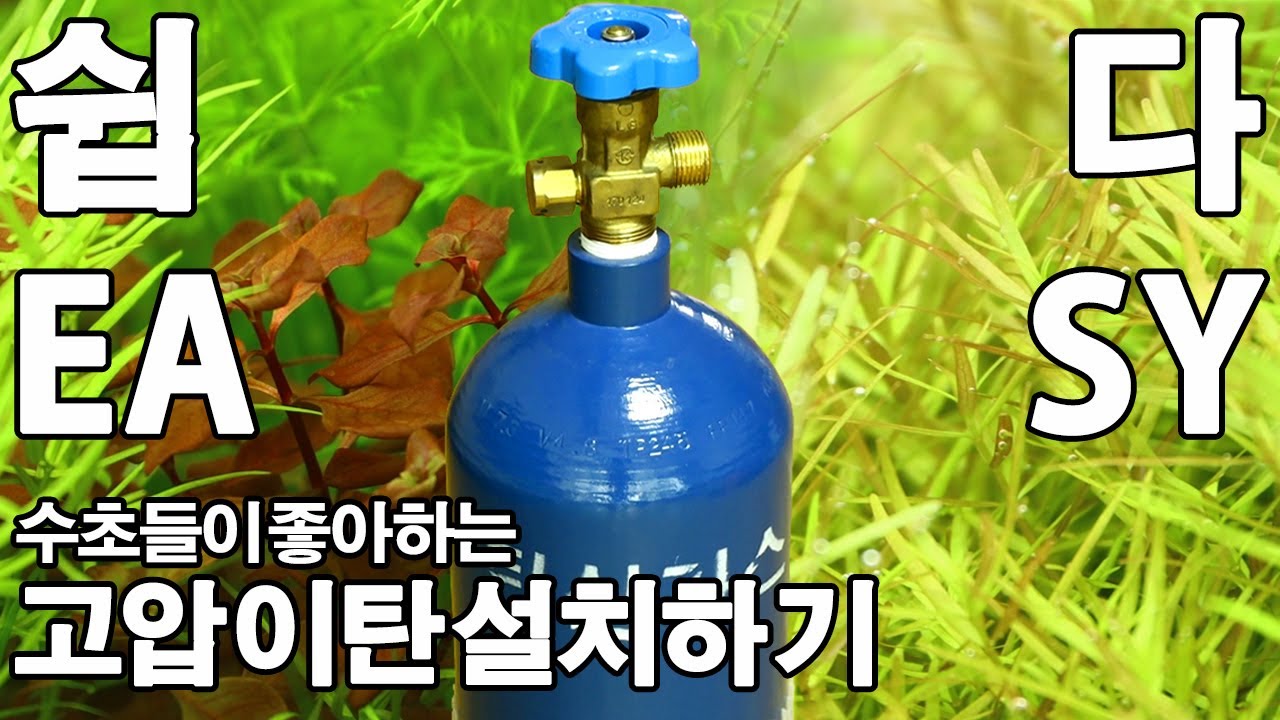 수초항에 고압 이산화탄소 설치하기 - 무섭지 않아요.